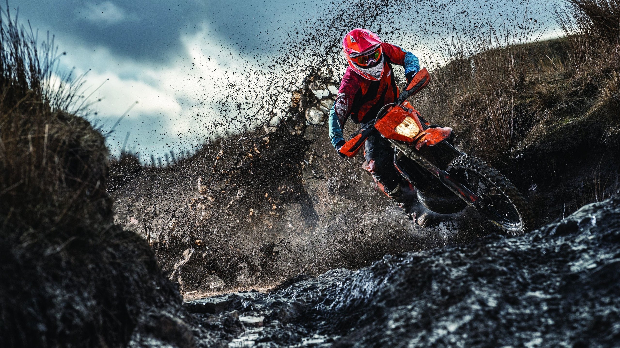 杰伦格林表现堪称教科书，浙江队决胜局带走掘金